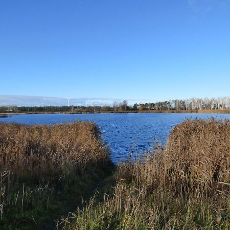 Uckermark "Ferienwohnung Sommerfugl " Passow  エクステリア 写真