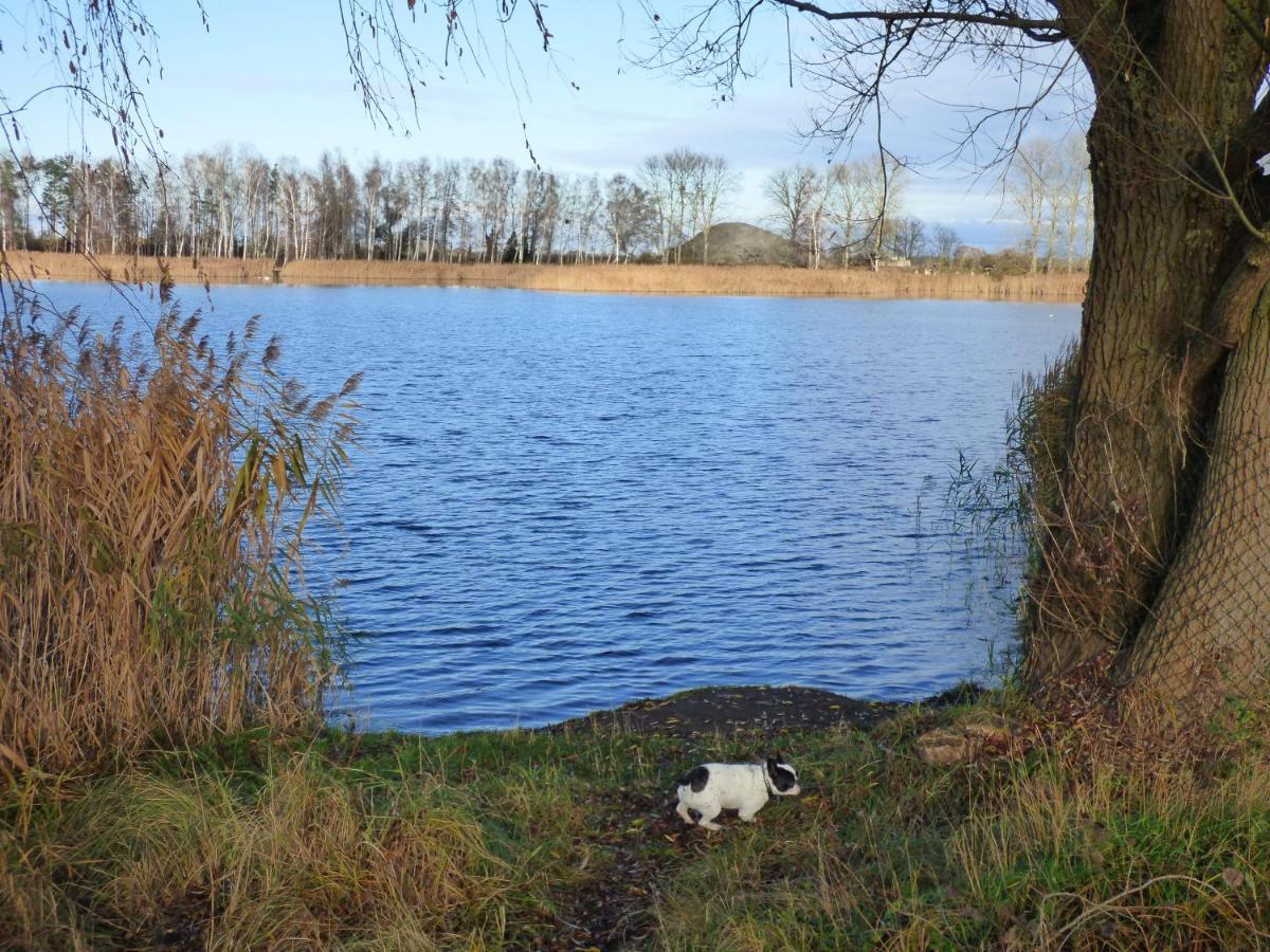 Uckermark "Ferienwohnung Sommerfugl " Passow  エクステリア 写真