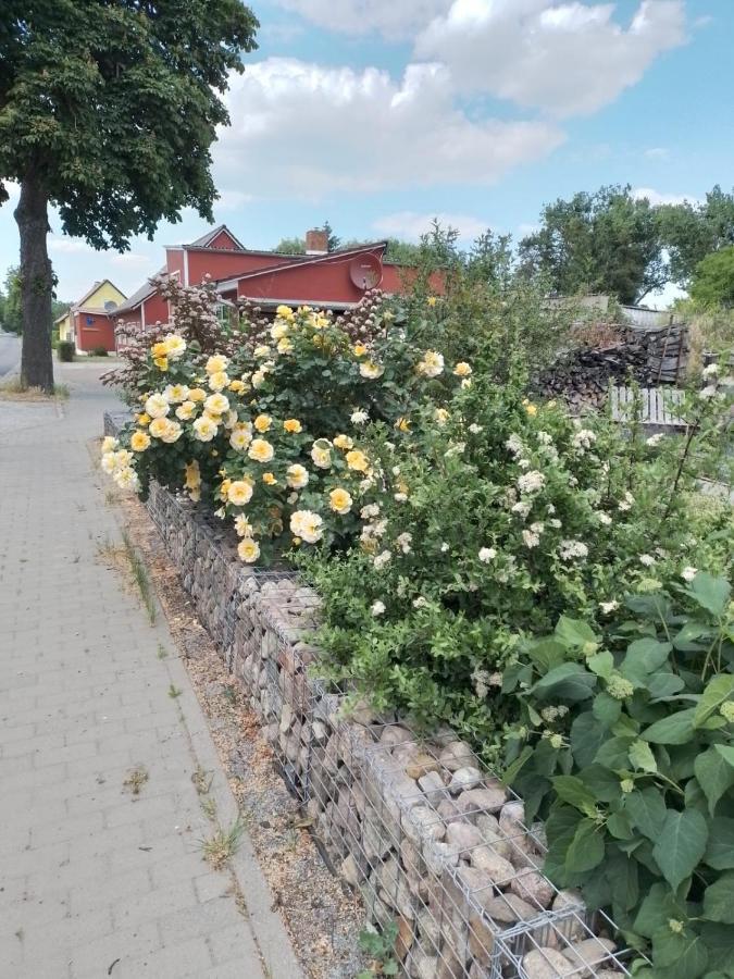 Uckermark "Ferienwohnung Sommerfugl " Passow  エクステリア 写真